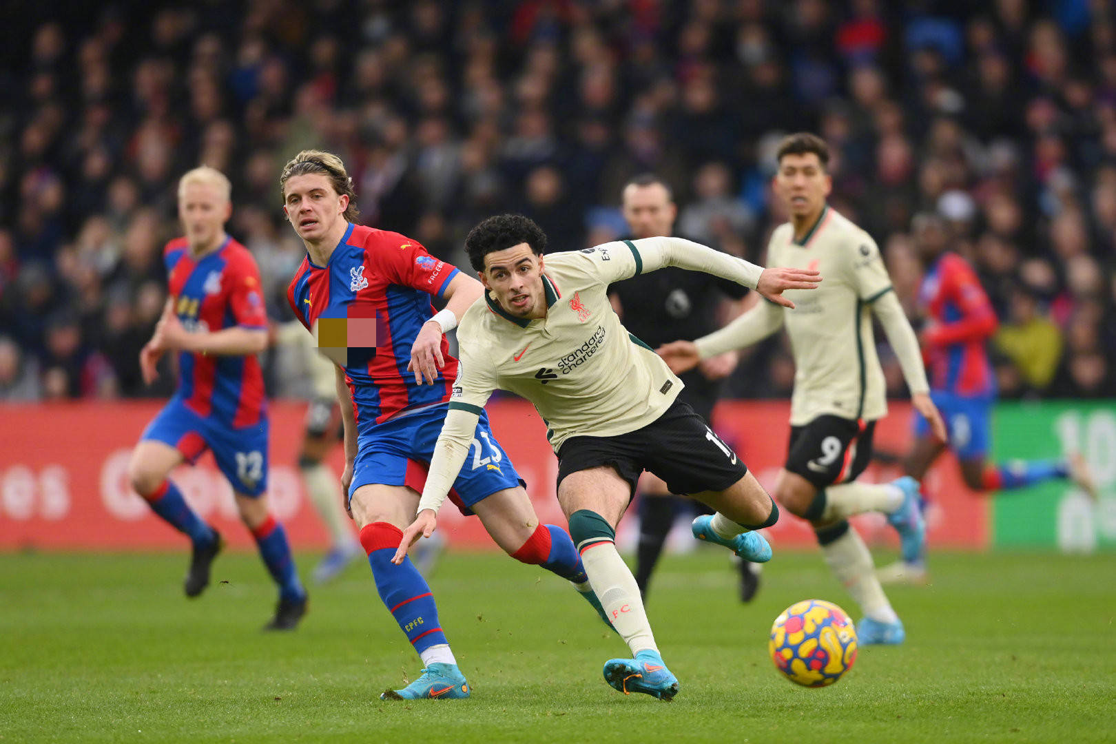 面同样出色 面同样出色